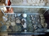 1313. الصندوق الزجاجي الذي يحوي القطع الأثرية القديمة التي وُجدت مع جثامين الكهنة تحت أرض البئر
